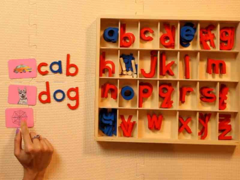 Movable alphabet box